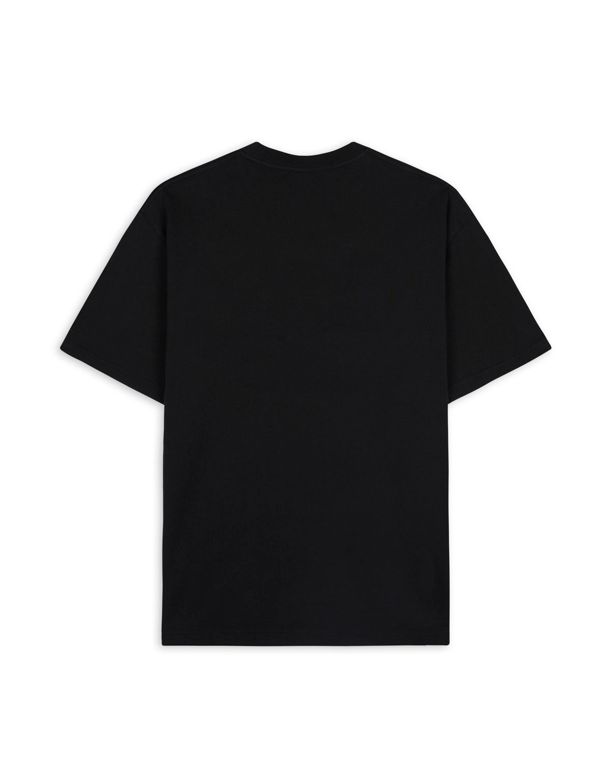 Brain Dead x Arcteryx All Rise Long Beach T-shirt - Black
 3