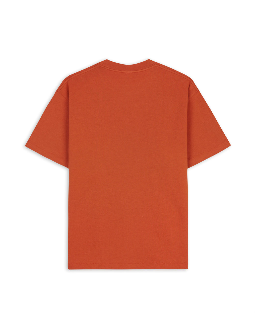 3D Embroidered Logohead Heavy Weight T-Shirt - Rust 2