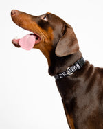 Boneman Dog Collar - Black 4