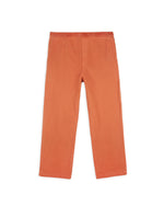 Washed Hard/Softwear Carpenter Pant - Burnt Orange 1
